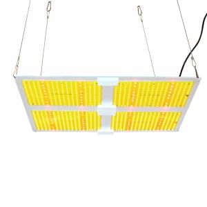 Wholesale AC100V Horticulture Quantum Board from china suppliers