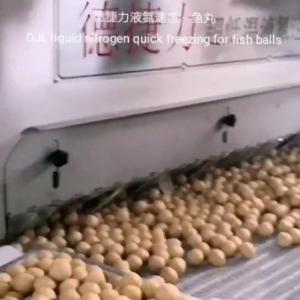 Wholesale Cryogenic Tunnel Freezer Liquid Nitrogen Quick Freezing Line Machine from china suppliers