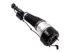 A2213205413 A2213205313 Front Air Suspension Strut Shock For Mercedes W221 4