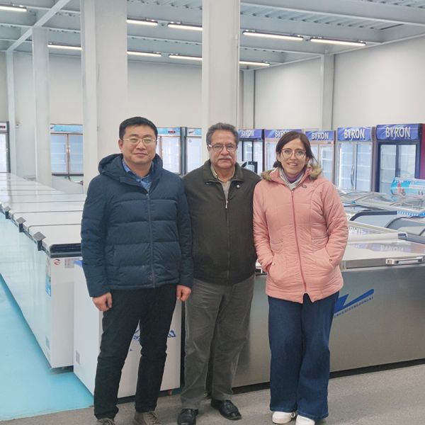 Customized Vertical Display Freezer 3 Doors Upright Display Freezer