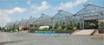 high quality tunnel single span galvanized arch green houses,Plant Large Walk in