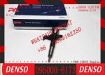 095000-6172 095000-6173 Fuel Injector Nozzles 095000 6172 095000 6173 Diesel