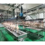 Customized Slaughter Line for Butcher Chicken Killing Machinery 300-1000 Bph