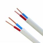 Standard JB/T 8734.2 2x1.5mm2 2X2.5mm2 2x4mm2 2x6mm2 2x10mm2 PVC Insulated Flat