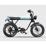 7 Speed Newest 73 Model Suspension Super Vintage Electric Retro MotorBike Fat E