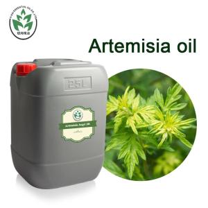 Wholesale Natural Pure Artemisia Argyi Essential Oil Whole Body Massage Oil Whitening Spa For Women from china suppliers