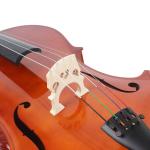 Professional Hand Mixed Oil Varnish Antique Cello Willow and poplar are also