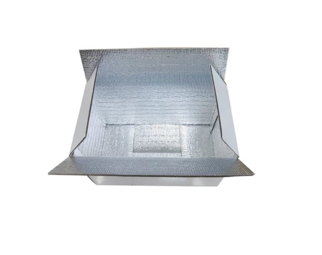 Custom Paper Type Paperboard Fruit And Vegetable for Transporting Frozen Cold Insulated Shipping Packaging Carton Box