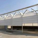 20.000kg Package Gross Weight Multi Span Tomato Cucumber Strawberry Growing