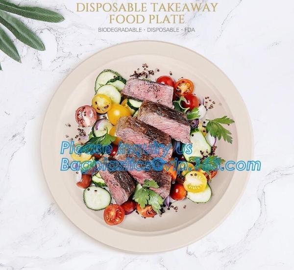 custom printed party plates disposable sugarcane bagasse plate Biodegradable