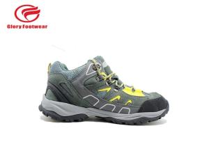 Wholesale Cemented Grey Lightweight Steel Toe Boots , Sports Lightweight Steel Toe Cap Trainers from china suppliers