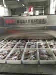 800KG/Hour 1000kgs/Hour Liquid Nitrogen Tunnel Freezer Quick Freezing Machine
