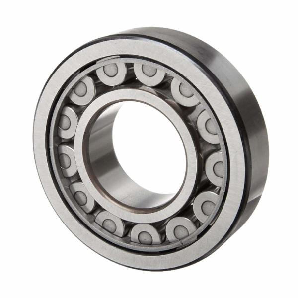 JINGYAO Cylindrical Roller Bearing NU411 High Speed Precision High Temperature