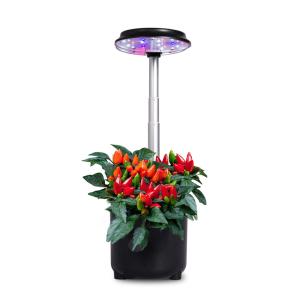 Wholesale AC90V LED Hydroponic Growing System 0.75L Water Tank For Garden from china suppliers