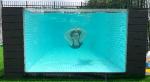 Customized Acrylic Panel Thickness Carbon Fibre Glass Backyard Inground Swimming
