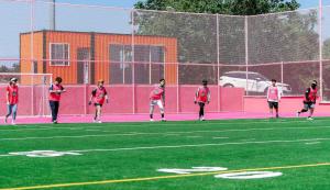 Wholesale Garden Artificial Turf Grass Dtex 7000-15000D Density 12600-21000 UV resistant Turf Grass from china suppliers
