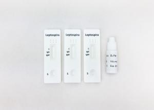 Wholesale Gold Colloidal Infection Blood Test Detect Leptospria Antibody Cleared CE Mark from china suppliers