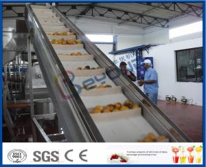 Wholesale 2TPH ~ 20TPH SUS304 Mango Processing Line With 2kg Cans Filling Machine from china suppliers