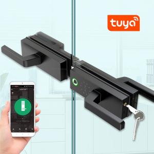 China Tuya Glass Door Lock High Security Smart Lock Biometric Digital Code Card Unlock Security Office Door Lock on sale