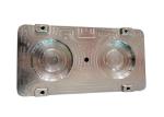 200k Shots PMMA Plastic 2 Cavity Injection Mold ODM