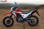 250cc engine sportbike for Adult Dual Front disc brake Enduro Gasoline Black