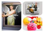 11.6 Inch Double Heads New Generation Intelligent Inkjet Printer For Wall Mural