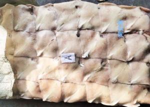 China Frozen Illex Squid , Fins Argentina Squid Bqf Chinese Ocean Vessels on sale