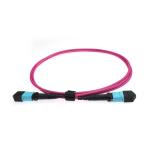 12 Fibers OFNP Plenum OM4 Magenta MTP Fiber Patch Cord