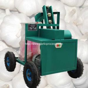 China Automatic Discharging Fresh Garlic Root and Leaf Cutting Machine on sale
