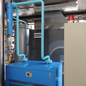 Wholesale Mobile Container Type IP65 Nitrogen Gas Generation Plant for Oil and Gas from china suppliers