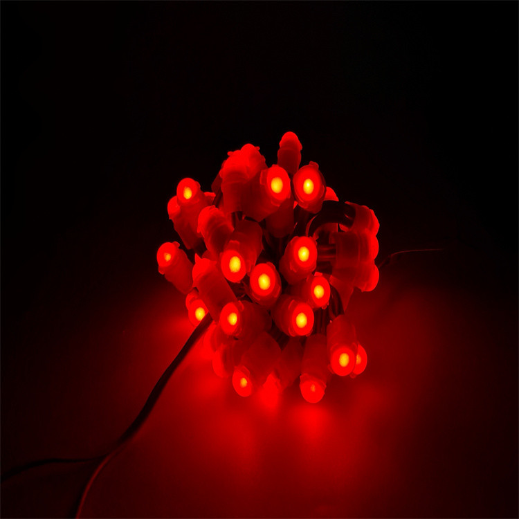 Good price IP67 Waterproof LED Pixel Light DC12V 0.2W with 30000 Hours Lifespan Outdoor Decoration Changeable