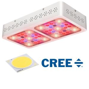 Wholesale C200 High Penetration COB LED Grow Panel , Indoor House Plant Grow Lights from china suppliers