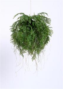 Wholesale Stylish 65CM Artificial Hanging Plants Exotic Display For Harried Modern Lifestyle from china suppliers