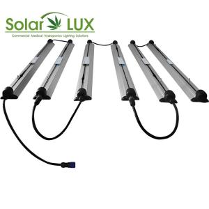 Wholesale 14AWG 100W LED Horticultural Daisy Chain Grow Lights from china suppliers