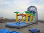 Rental Inflatable Water Slide for Sale