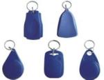 EM4102 Chip RFID Access Control Keychain, 125KHz Fobs, ID & IC Identification
