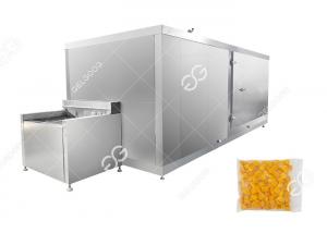 China Factory Price Frozen Mango Production Line Fruit And Vegetable Processing Industry on sale