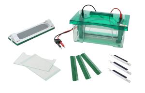 Wholesale Rapid SSR Mini Gel Electrophoresis System Auto Switch Off Open Button Design from china suppliers