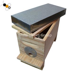 Wholesale Bee Hive Equipment Queen Rearing Nuc Box Langstroth Beehive from china suppliers