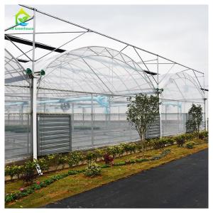 Wholesale Durable Poly Tunnel Agricultural Multi-span Plastic Film Greenhouse For Vegetables from china suppliers