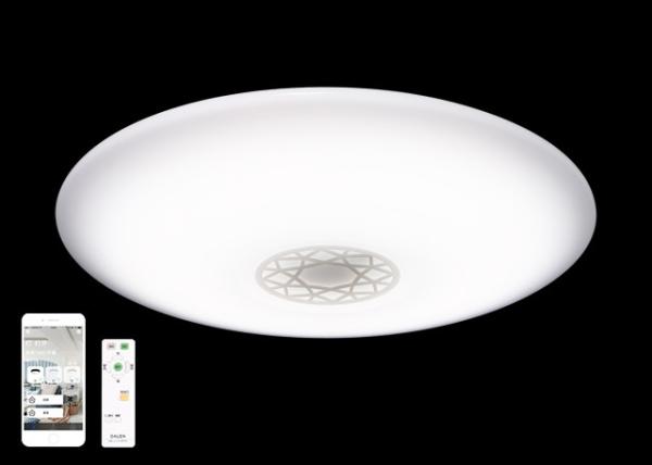 Versatile Warm White Ceiling Lights , Color Temperature Adjustable Smart Ceiling