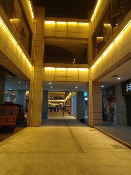 Waterproof SMD5050 DC24V LED Strip Wall Washing Lamp for Hotels and Office