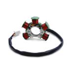TVS-5 Magnet Motor Stator Coil New Condition Plastic Ignition Coil for