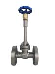 Flange Connection 1 Year Warranty DN200 Cryogenic Globe Valve