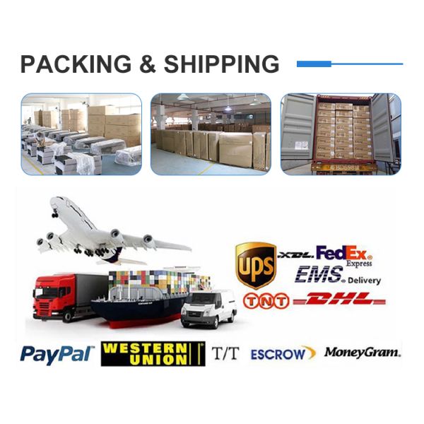 U Shaped Modular Sectional Sofa Multiscene Anti Scratch Modern Style