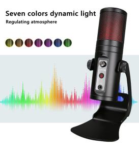 Wholesale Professional Microphone For Singing And Recording Four Immersive Reverb Modes from china suppliers