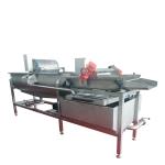 Vortex Type Ozone Vegetable Fruit Washing Machine 1.5T / Hour Capacity