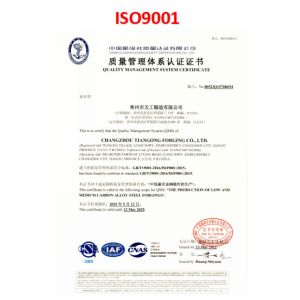 Changzhou Tiangong Forging Co., Ltd. Certifications