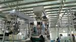 45bags/min Seed Counting And Packaging Machine Vertical Weigh Filler