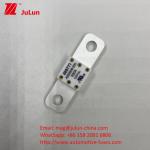 A202008 125VDC 100A Automobile DC Electric Car Charging Fuse For EV Hole